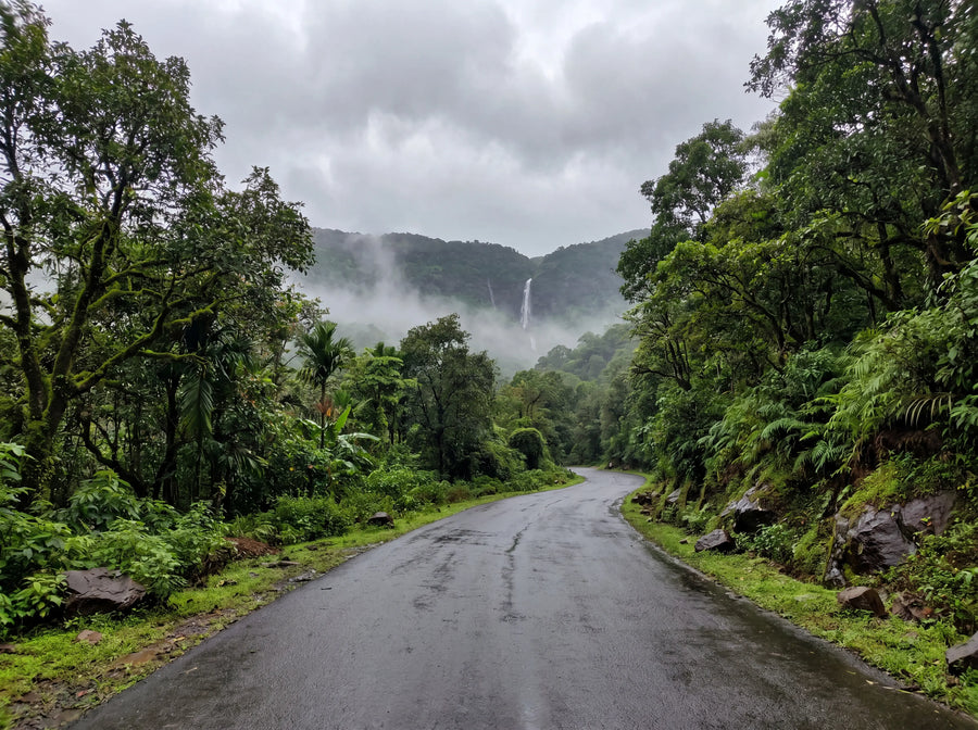 Northern Sahyadris monsoon road
