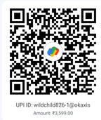 UPI QR code Solo BYOT