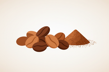 coffee beans and grounded coffee vector image