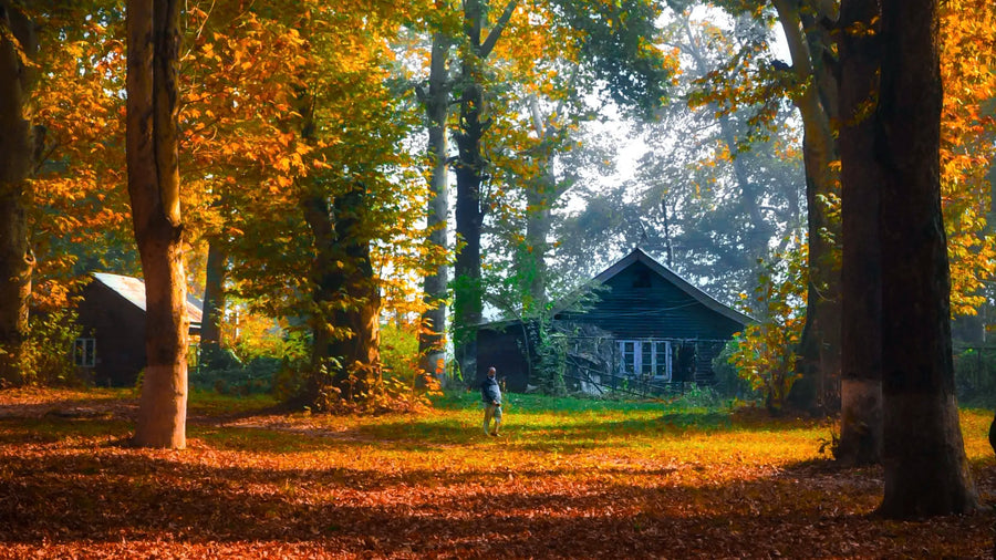 Dachigam National Park
