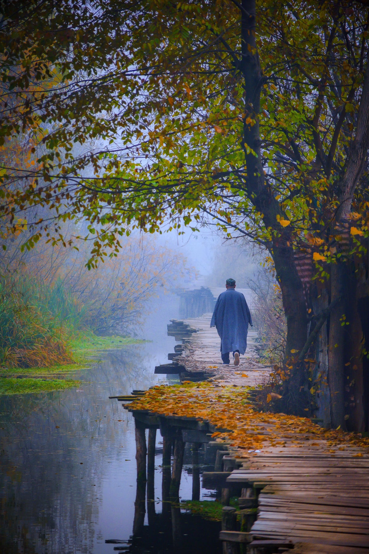 Srinagar, Jammu and Kashmir