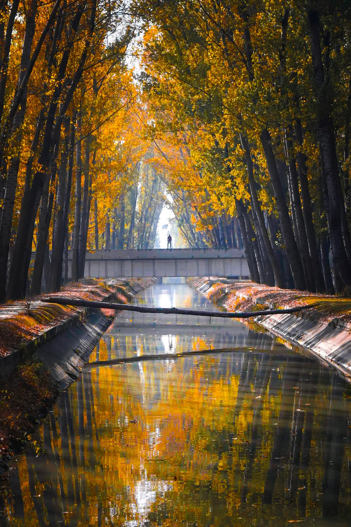 Srinagar