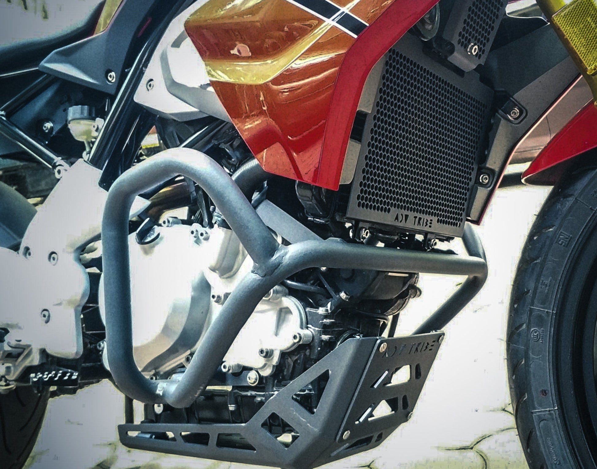 Radiator Guard for BMW G310R by ADV TRIBE
